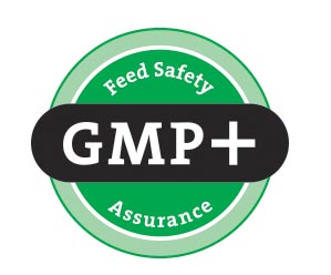 Certification-GMP