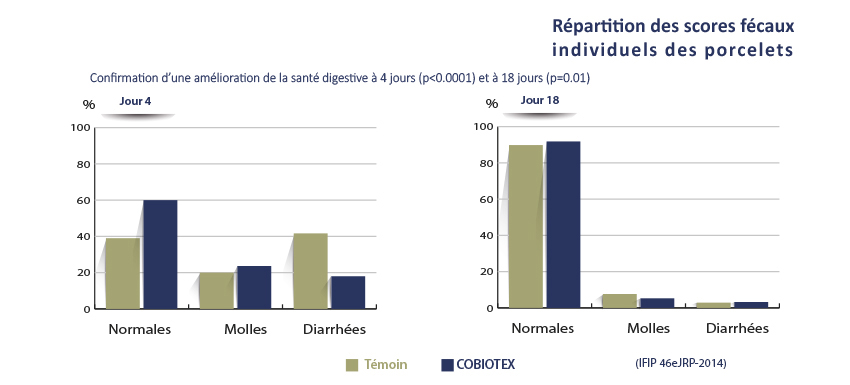 COBIOTEX-Graph-IFIP-Porcelets