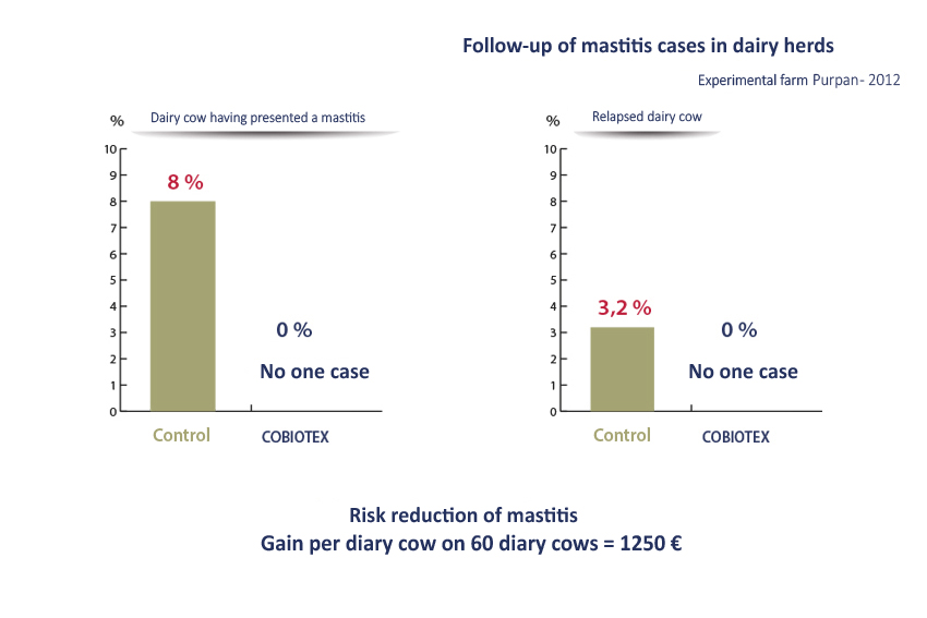 Diary Cows Mastitis