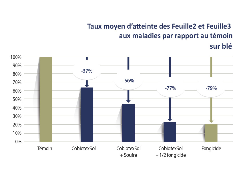 Graph1 COBIOTEX SOL-FR