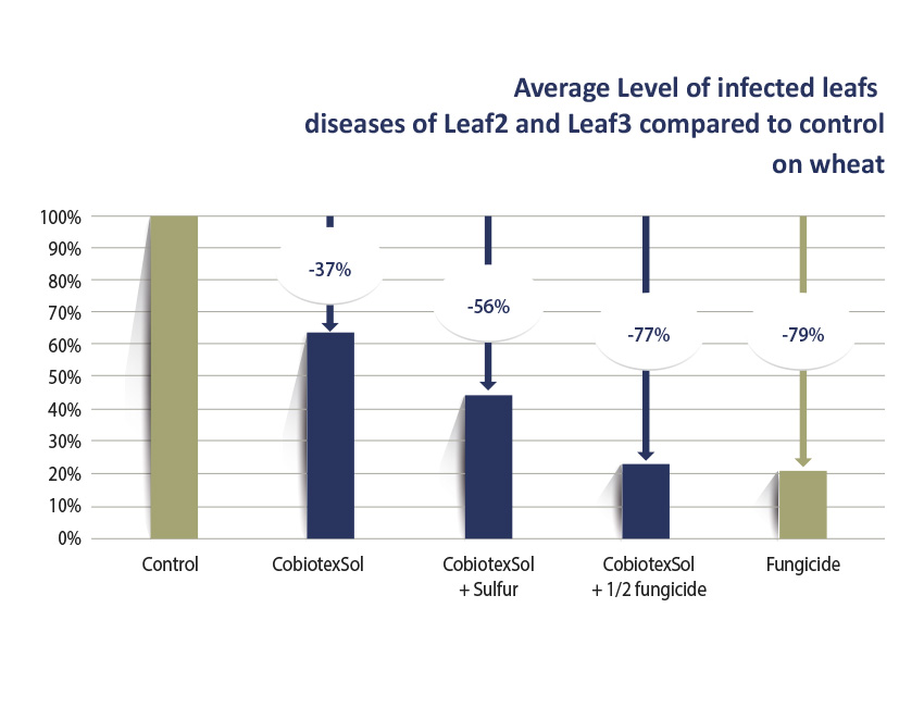 Graph1 COBIOTEX SOL GB