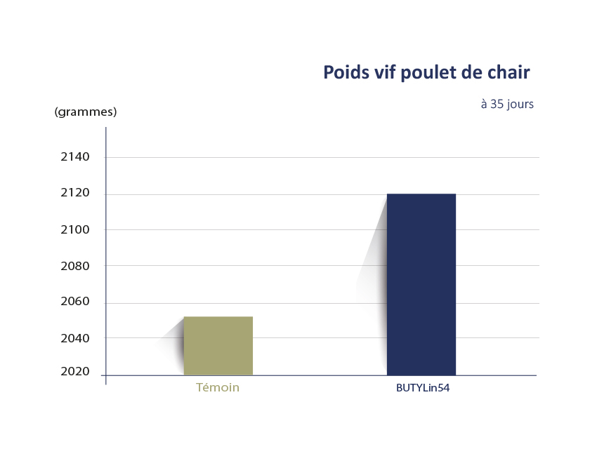 GRAPHSB54-1-ZOOTEST FIS-FR