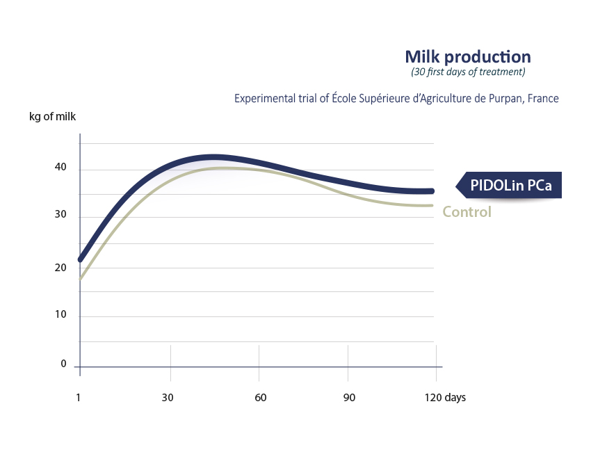 Milk production