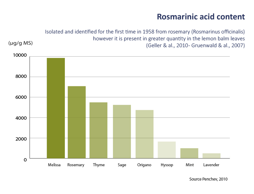 Rosmarinic acid content