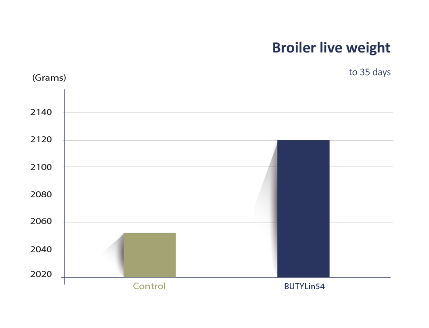 Zootest FIS broiler liveweight